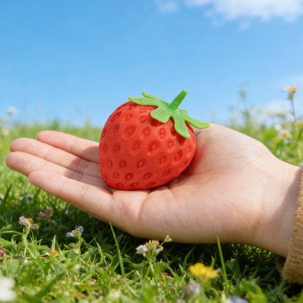Strawberry & Apple Squishy Fun